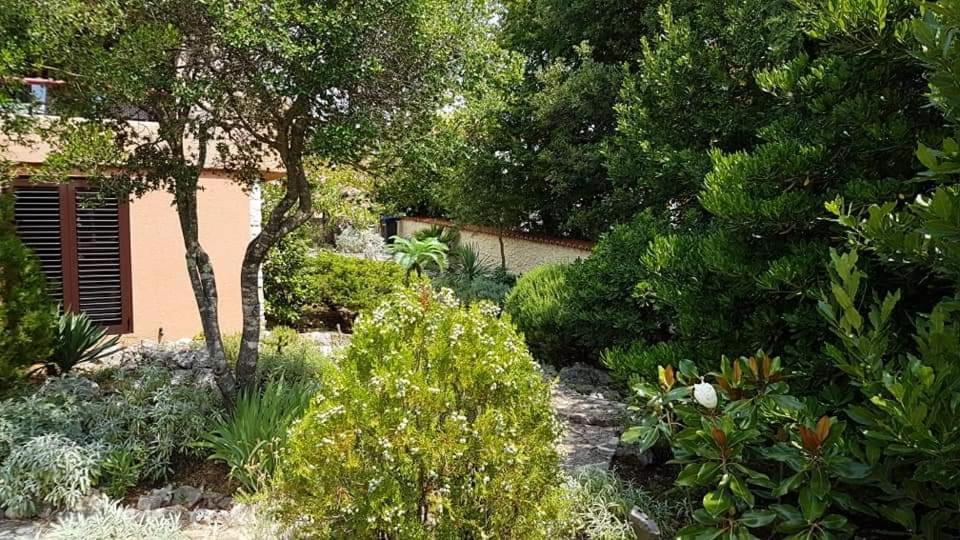 Pinezići Apartments Villa Temer מראה חיצוני תמונה