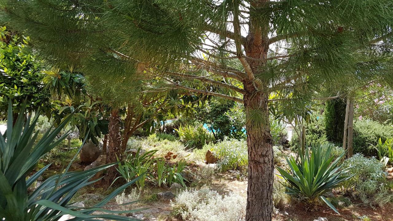 Pinezići Apartments Villa Temer מראה חיצוני תמונה